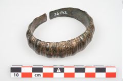 Foto von Bronzemelonenarmreif (NHMW-PRAE-026143)